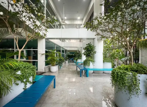 International Christian School Nonthaburi (ICSN) — ภาพจาก Google Maps