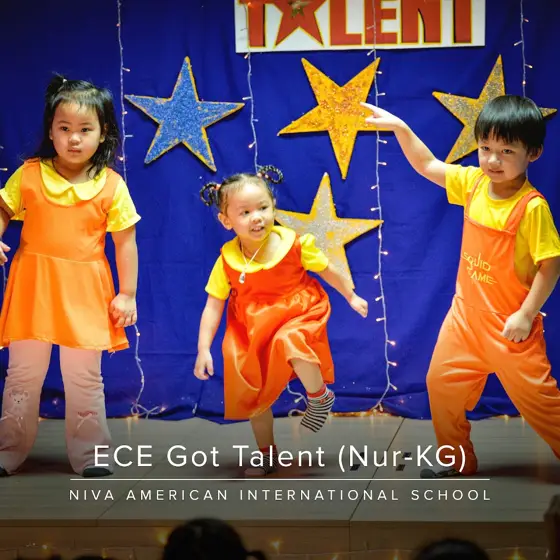 NIVA American International School — photo via Google Maps