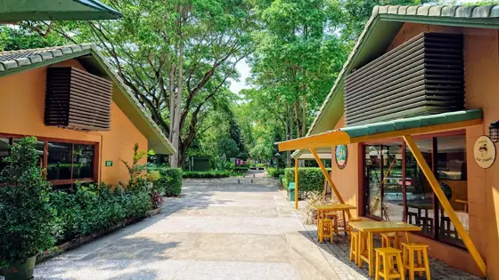 Prem Tinsulanonda International School (Prem/PTIS) — photo via Google Maps