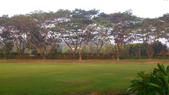 Prem Tinsulanonda International School (Prem/PTIS) — photo via Google Maps